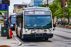 A6706519.jpg