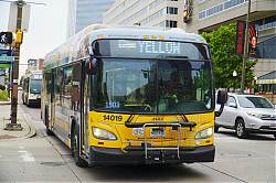 A6706536.jpg
