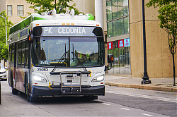 A6706542.jpg