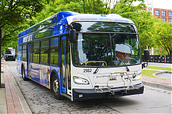 A6706555.jpg