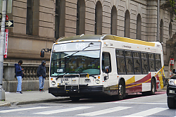 A6706580.jpg