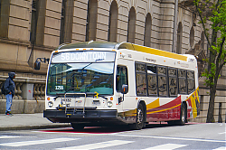 A6706581.jpg