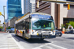 A6706616.jpg