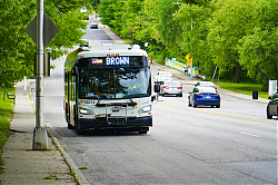 A6706643.jpg
