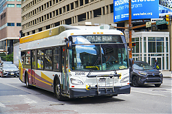 A6706655.jpg
