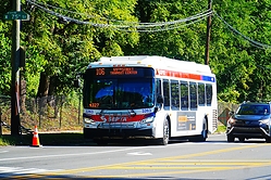 A6705481.JPG