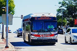 A6705486.JPG
