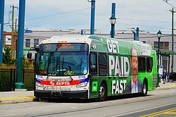A6705580.JPG