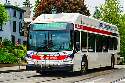 A6706403.jpg