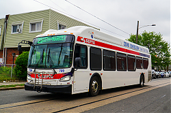A6706408.jpg