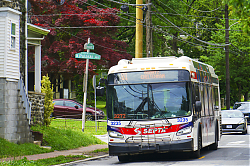 A6706732.jpg