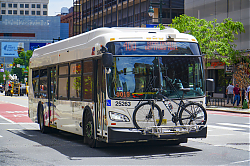 A6706742.jpg