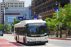 A6706745.jpg