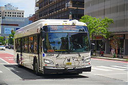 A6706746.jpg