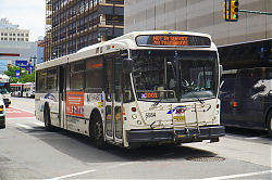 A6706748.jpg
