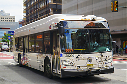 A6706749.jpg