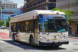 A6706753.jpg
