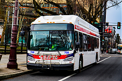 A6706232.jpg