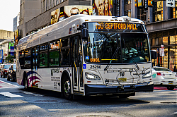 A6707082.jpg