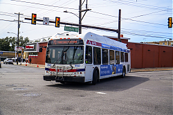 A6707767.jpg