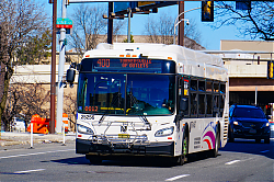 A6706176.jpg