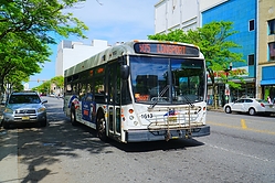 Filename=A6704329.JPG
Filesize=2397KiB
Dimensions=2047x1365
Date added=May 20, 2025 A6704329.JPG