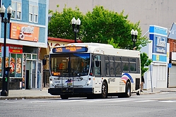 Filename=A6704389.JPG
Filesize=2106KiB
Dimensions=2047x1365
Date added=May 20, 2025 A6704389.JPG