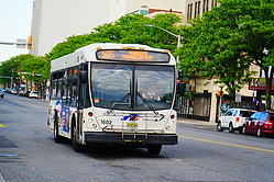 Filename=A6704392.JPG
Filesize=2970KiB
Dimensions=2047x1365
Date added=May 20, 2025 A6704392.JPG