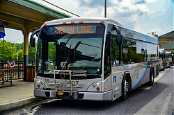 A6706872.jpg