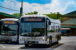 A6706875.jpg