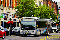 A6706886.jpg