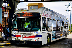 A6706864.jpg