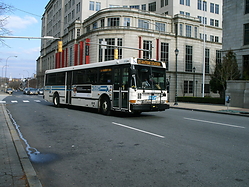 Filename=GEDC1015.JPG
Filesize=471KiB
Dimensions=900x675
Date added=Apr 12, 2025 GEDC1015.JPG