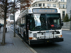 Filename=GEDC1024.JPG
Filesize=517KiB
Dimensions=900x675
Date added=Apr 12, 2025 GEDC1024.JPG