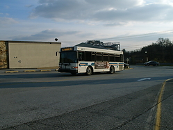 Filename=GEDC1035.JPG
Filesize=384KiB
Dimensions=900x675
Date added=Apr 12, 2025 GEDC1035.JPG