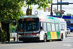 A6705069.JPG