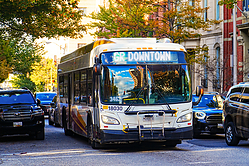 A6705937.jpg