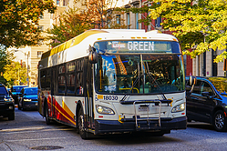 A6705941.jpg