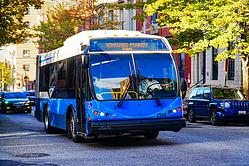 A6705942.jpg
