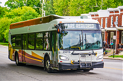 A6706646.jpg