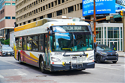 A6706655.jpg