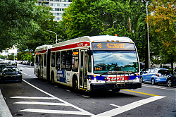 A6706916.jpg