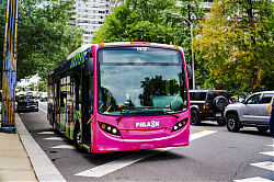 A6706924.jpg