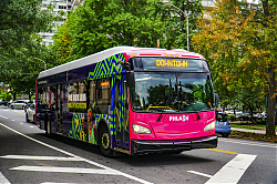 A6706930.jpg