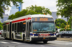 A6706935.jpg