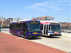IMG_2749.JPG