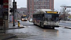 20221125_094131.jpg