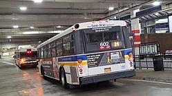 20221125_094151.jpg