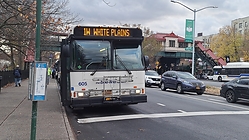 20221125_150812.jpg