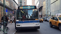 20221107_152810.jpg